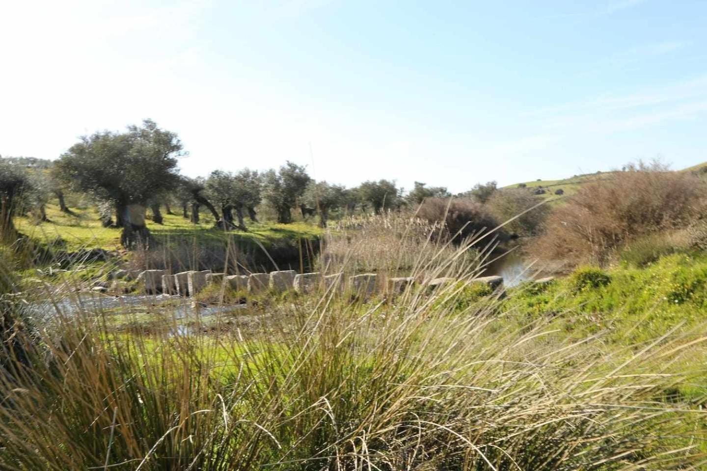 El Olivar Agloipe Ahigal Trcc מראה חיצוני תמונה