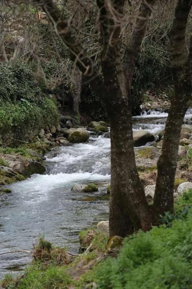 El Olivar Agloipe Ahigal Trcc מראה חיצוני תמונה